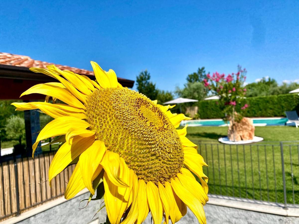Villa Poggio Bardolino Eksteriør billede