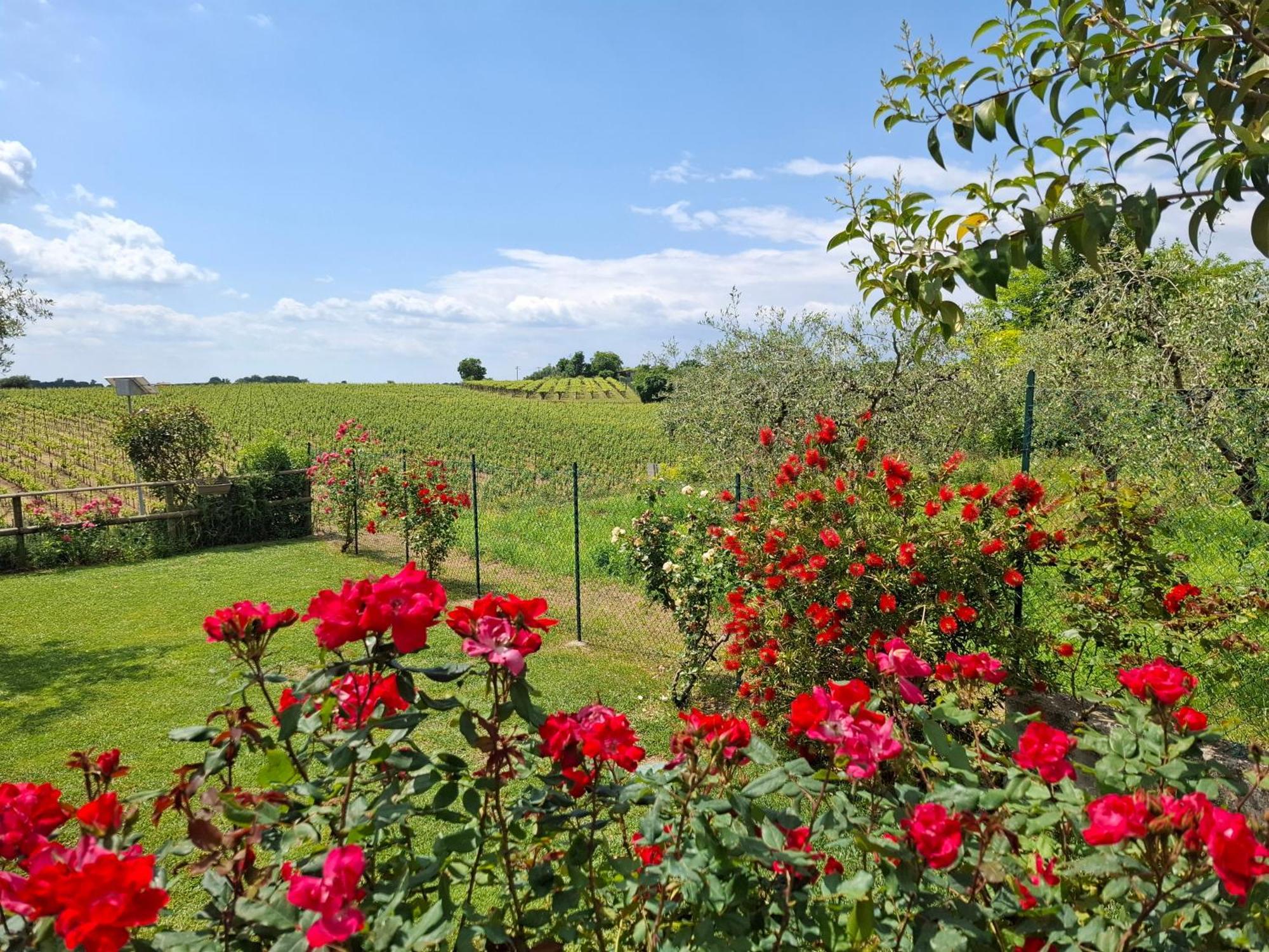 Villa Poggio Bardolino Eksteriør billede