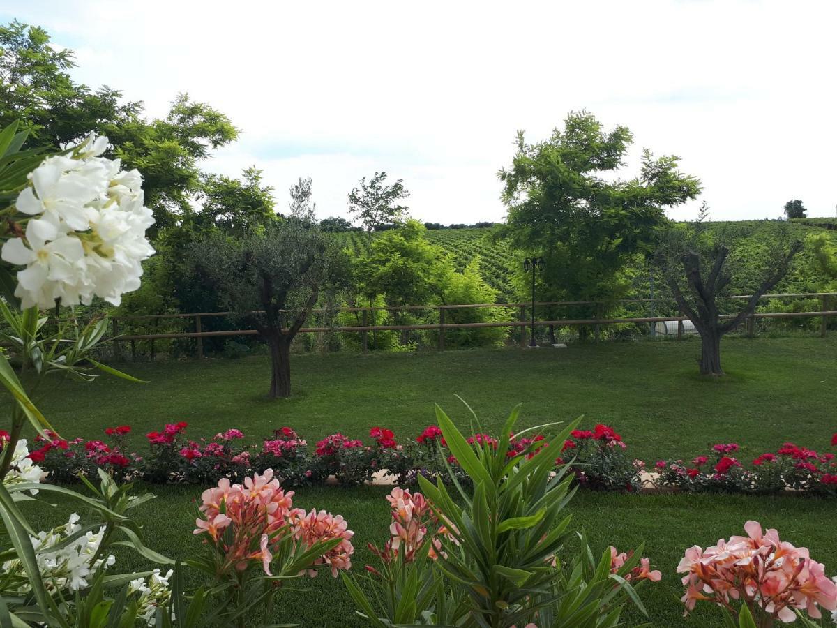 Villa Poggio Bardolino Eksteriør billede